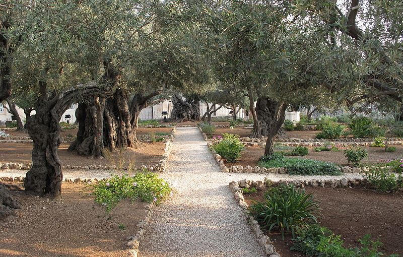 Gethsemane en de beste&nbsp;wensen…