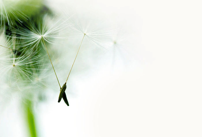 Vluchtig en luchtig…