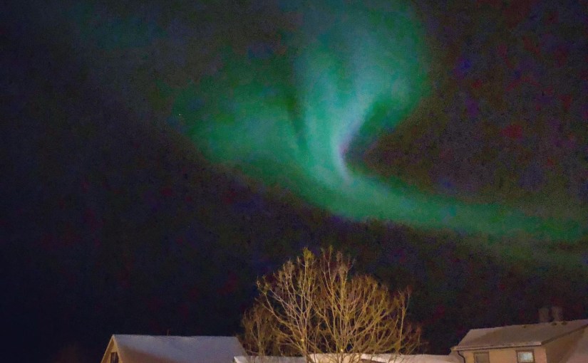 Noorderlicht in de boreale&nbsp;wereld