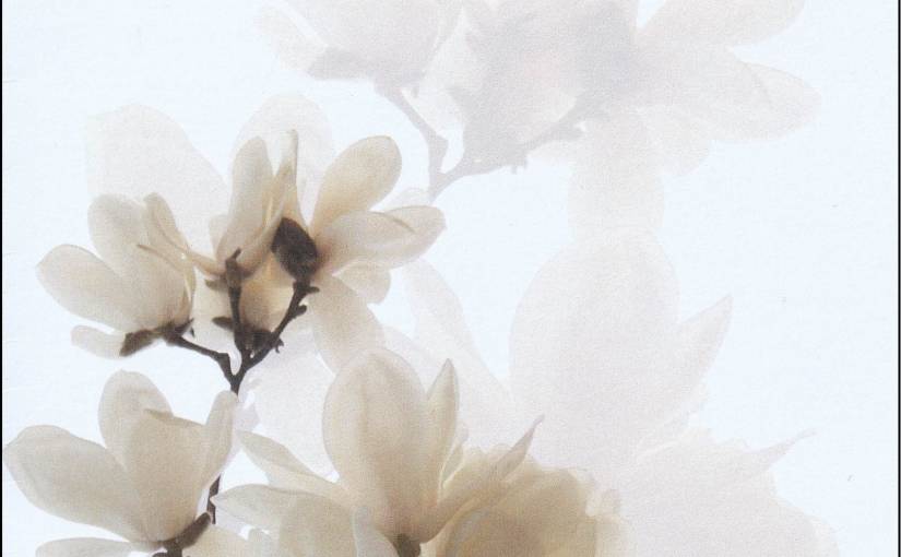 Gedachtenisprentje…